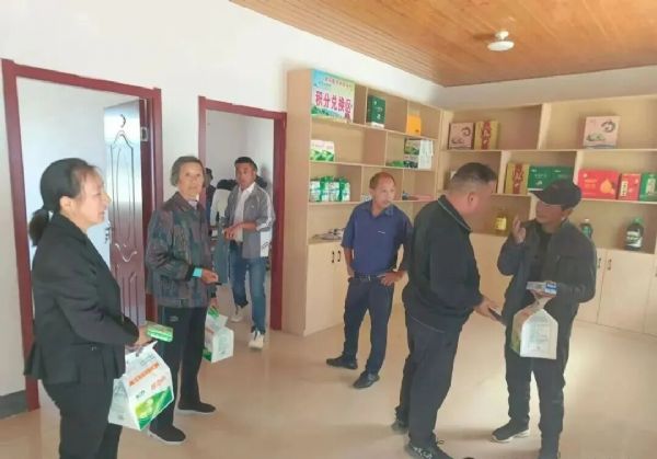 望江县 | 鸦滩镇望马楼村“美丽庭院”绘就乡村振兴新图景