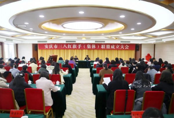 重磅！安庆市三八红旗手（集体）联盟成立了