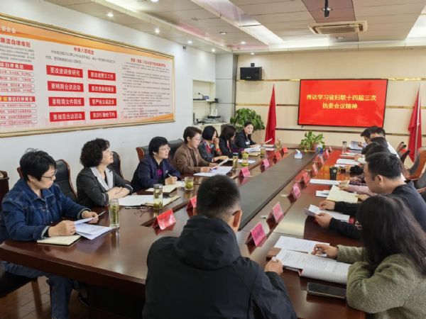 安庆市妇联传达学习省妇联十四届三次执委会议精神